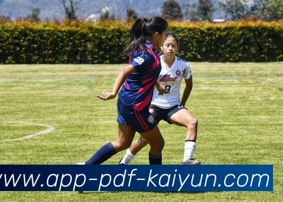 开云APP平台生态图