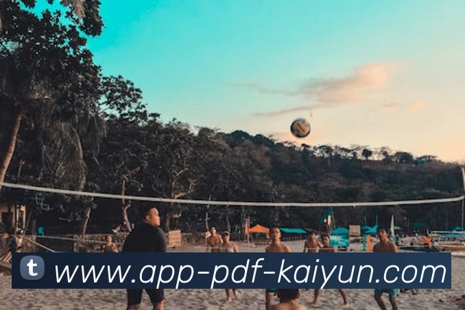 开云APP全站App 开云APP全站App