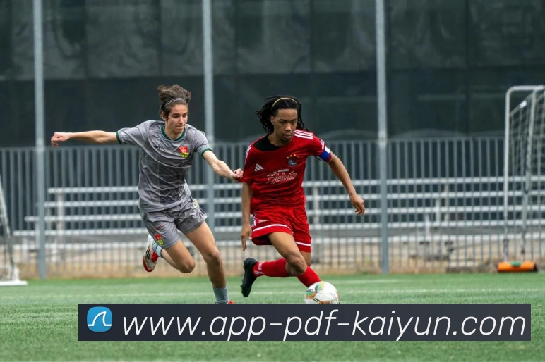 辅助工具 辅助工具